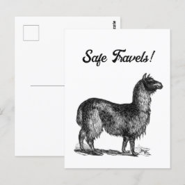 Cartão Postal Esboço Encantador de Lhama, Desenho a Tinta de Ani