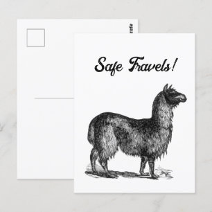 Cartão Postal Esboço Encantador de Lhama, Desenho a Tinta de Ani