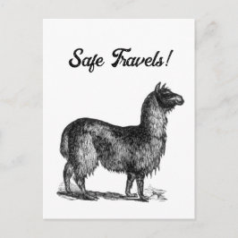 Cartão Postal Esboço Encantador de Lhama, Desenho a Tinta de Ani