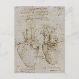 Cartão Postal Esboços de Anatomia do Coração Humano de Da Vin