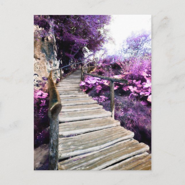 Cartão Postal escada de wisteria (Frente)