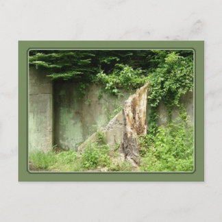 Cartão Postal Escada para o nada