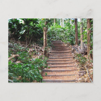 Cartão Postal Escadas em seu habitat natural