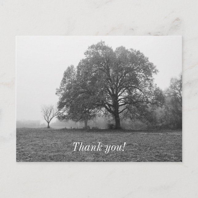 Cartão Postal Escala de Cinza de Manhã de outono (Frente)