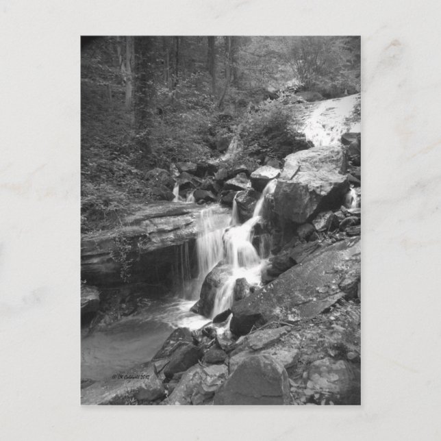 Cartão Postal Escalando as quedas (Frente)