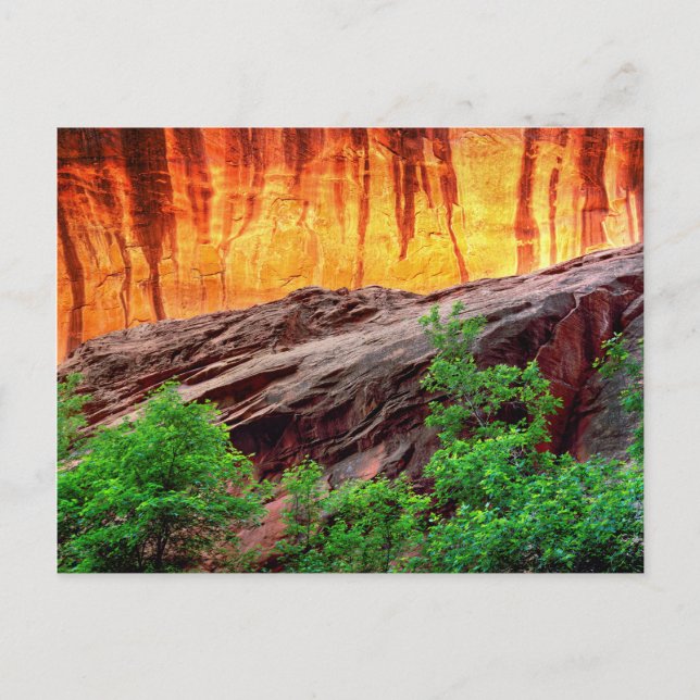 Cartão Postal Escalante Neon Canyon e Foliage | Utah (Frente)