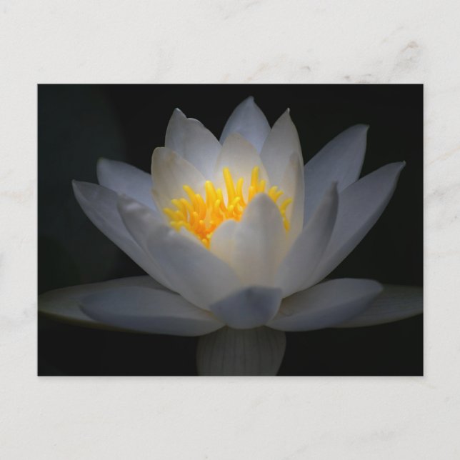 Cartão Postal esclarecimento (Frente)