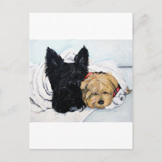 Cartão Postal Escócia Terrier & Yorkie melhores amigos
