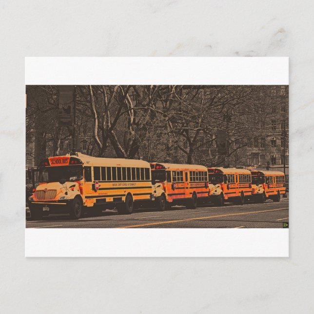 Cartão Postal Escola (Frente)