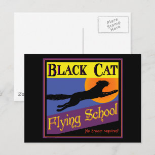 Cartão Postal Escola de Voo de Gato Preto Postcard Vintage de Ha