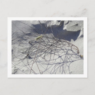 Cartão Postal escombros de praia