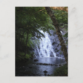 Cartão Postal Escondidas através das árvores