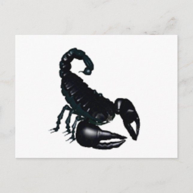 Cartão Postal Escorpião Negro (Frente)