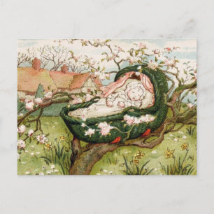 Cartão Postal Escove Um Bye Baby