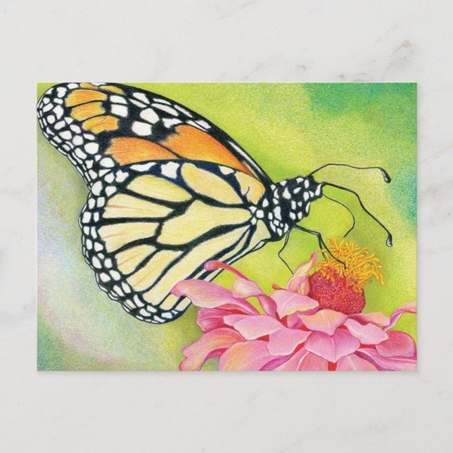 Cartão Postal Escreva cartões-postais para democratas -Brigada B (Frente)