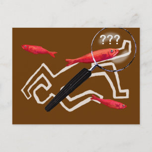 Cartão Postal Escritor do crime - pistas falsas