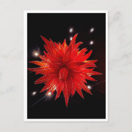 Cartão Postal Escultura de Lustre em Estrela de Vidro Vermelho V