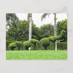 Cartão Postal Esculturas do Jardim de Elefantes Verdes da Cartei