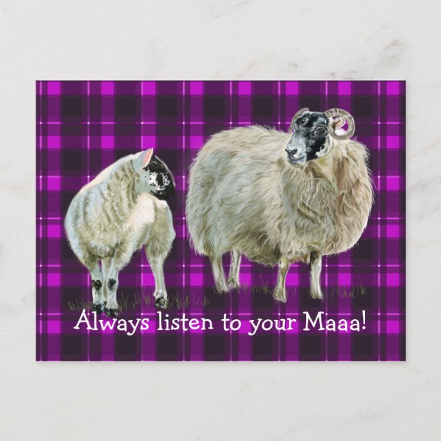 Cartão Postal Escute sempre a sua Maaa! (Frente)