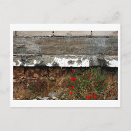 Cartão Postal Esfregões e papoilas, Sarajevo