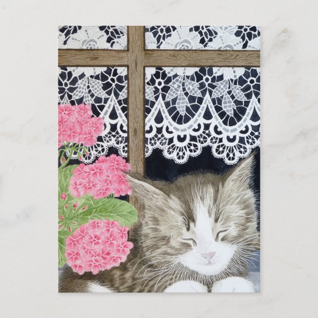 Cartão Postal Esnozelos ao sol (Frente)