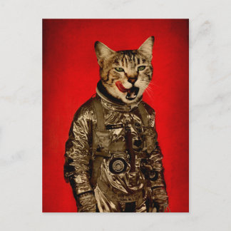 Cartão Postal espaço tem bom gosto