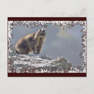 Cartão Postal Espadilha alpina no quadro das folhas