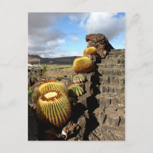 Cartão Postal Espanha Lanzarote 04 cactus jardim