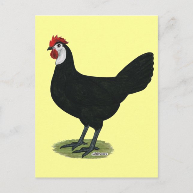 Cartão Postal Espanhol:  Homem de cara branca (Frente)