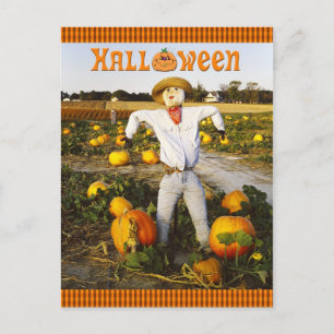Cartão Postal Espantalho do Halloween no campo de abóbora