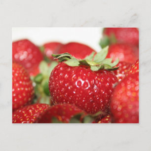 Cartão Postal Especial Berry