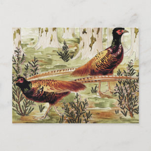 Cartão Postal Especiários fastistas de Maurice Pillard Verneuil