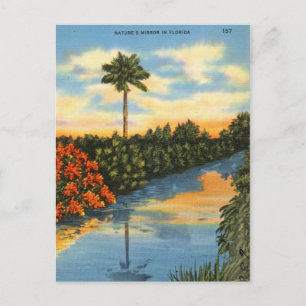 Cartão Postal Espelho da Natureza na Flórida