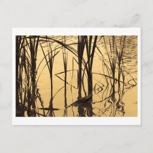 Cartão Postal espelho é mentiroso