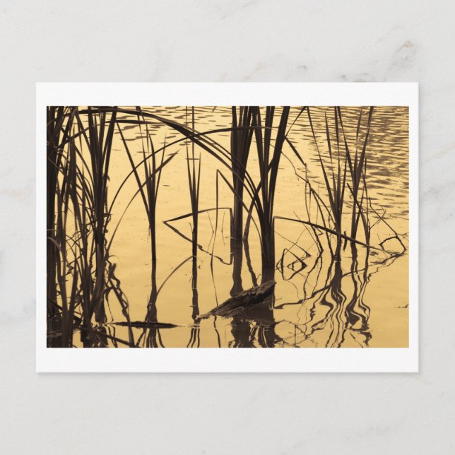 Cartão Postal espelho é mentiroso (Frente)