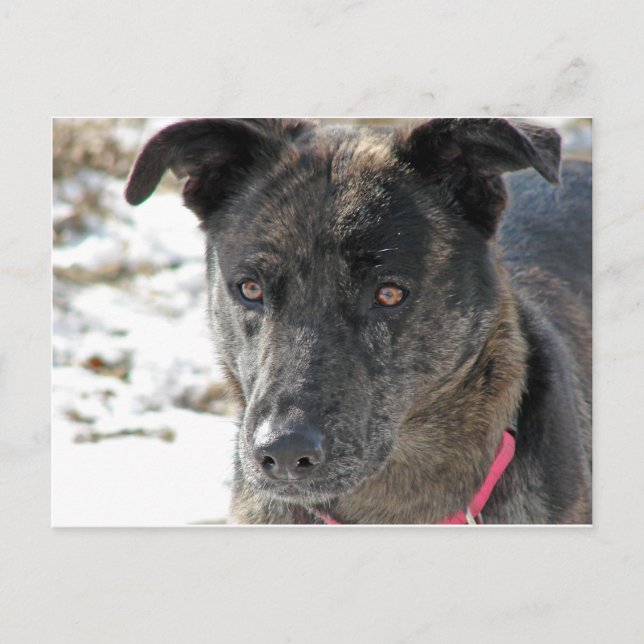 Cartão Postal Esperança (Frente)