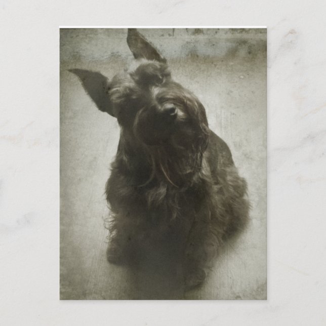 Cartão Postal Esperando (Frente)