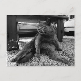 Cartão Postal Esperando por você - Cartão-postal