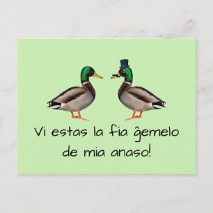 Cartão Postal Esperanto: Anaso de FIA ĝemelo de mia do la dos