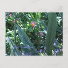 Cartão Postal esperar o inesperado