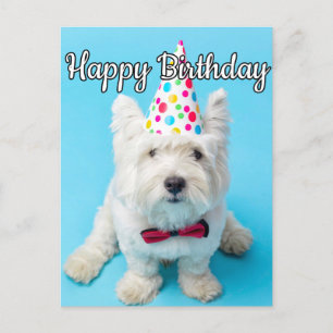 Cartão Postal Espero Que Tenha Um Feliz Aniversário