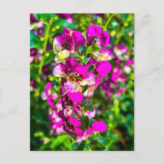 Cartão Postal Espiga de Flor Rosa Brilhante com Orvalho