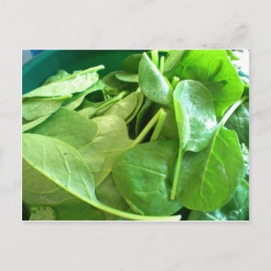 Cartão Postal Espinafre