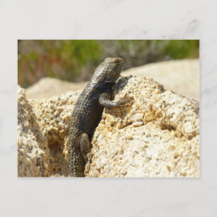 Cartão Postal Espinheiro de cor amarela no Joshua Tree