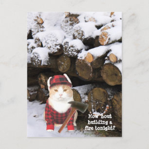 Cartão Postal Espinheiro de Gato Engraçado