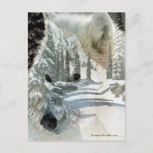 Cartão Postal Espírito Da Natureza Selvagem