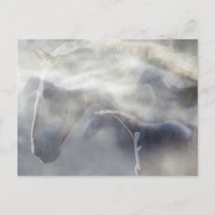 Cartão Postal Espírito do Cavalo