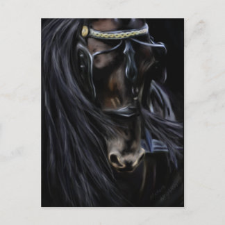 Cartão Postal Espírito Frísio - Pintura de Cavalo