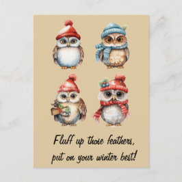 Cartão Postal Espíritos de neve: Corujas no calor do inverno