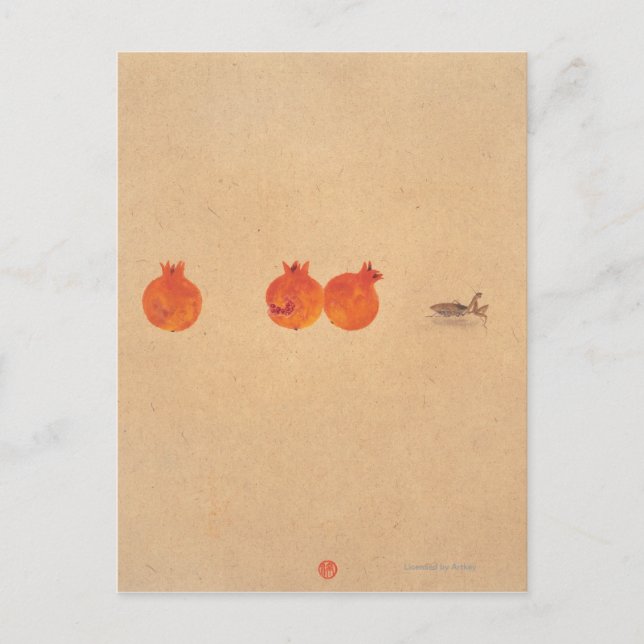 Cartão Postal Espíritos na Série Céu e Terra Nº 5 (Frente)